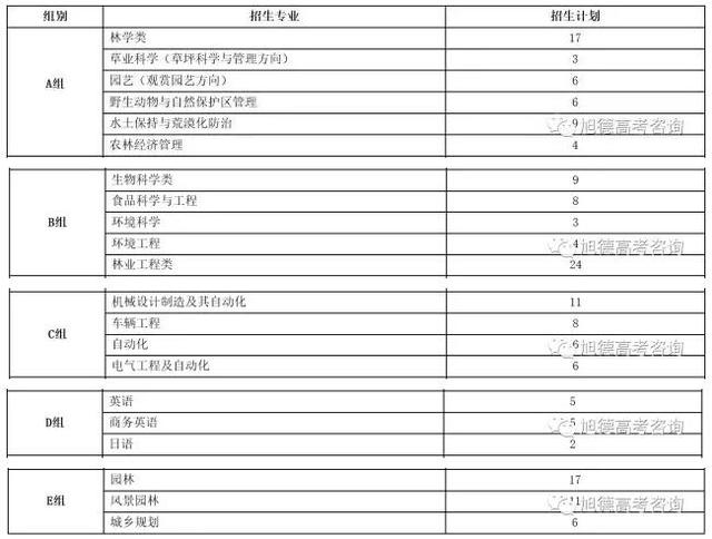 2017年各高校自主招生优惠政策出炉！