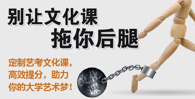 艺考生文化课补习