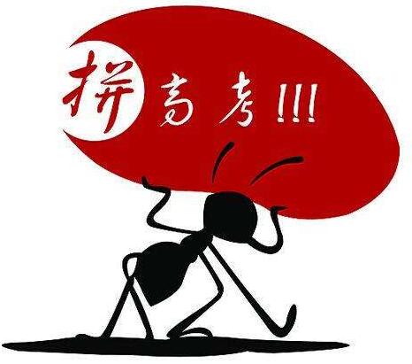 高考复习一轮注意事项