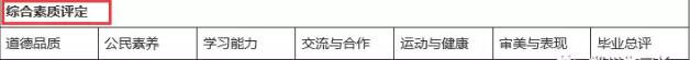 2017年综合素质评价结果表