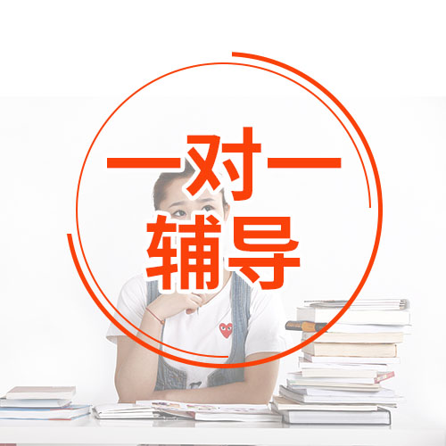 一对一辅导