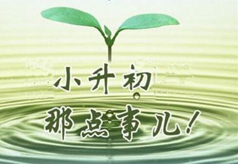小升初择校攻略