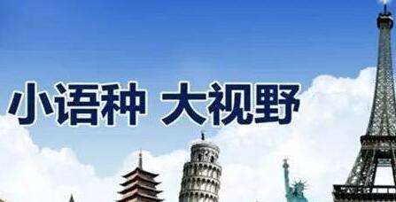 2018年高考外语选小语种