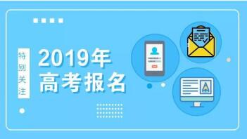 高考报名