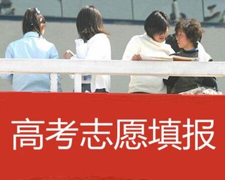 高考填报————