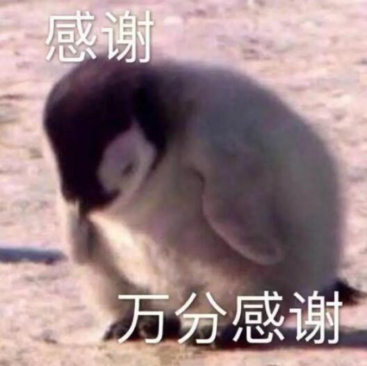 中高考