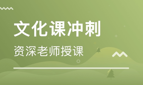 郑州艺考生文化课高三补习班