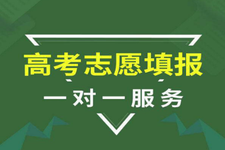 高考————————