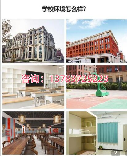 文化科集训