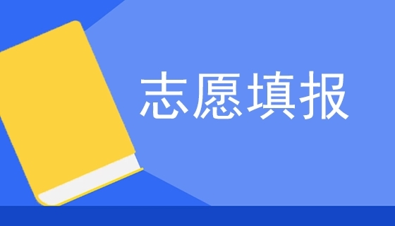 资源填报